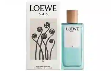 LOEWE