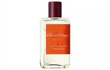 EDP 30ml100ml