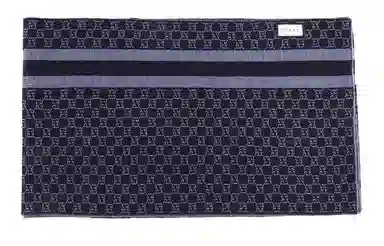 Gucci Logo Stripe Scarf