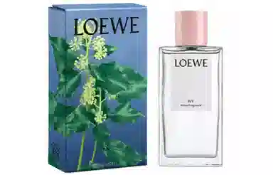 LOEWE EDT 150ml