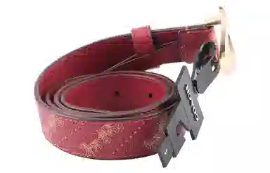 Coach Belt