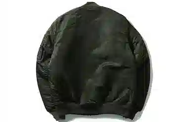 adidas Originals Graphics Bomber