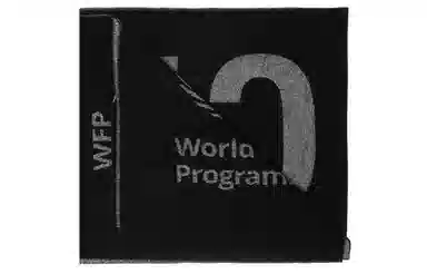 Balenciaga Logo Wool Scarf