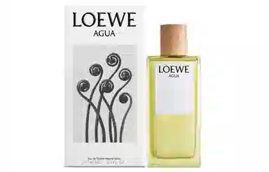 LOEWE EDT 50ml100ml150ml