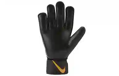 Nike Goalkeeper Match