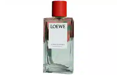 LOEWE EDT 150ml