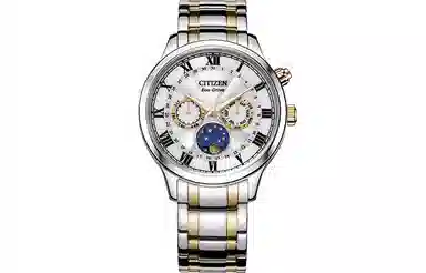 CITIZEN AP1054-80A
