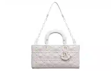 DIOR Lady D-JOY