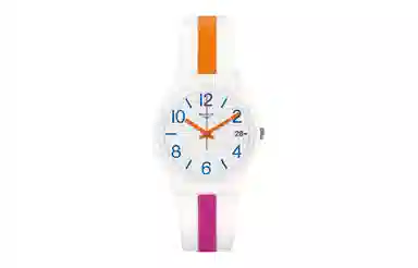 SWATCH ORIGINALS 30 34mm GW408
