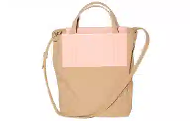 Acne Studios Mini Tote Brown/Pink