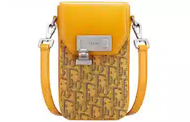 DIOR Lock Oblique