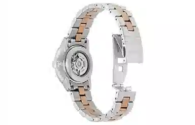 RADO Automatic Mechanical Watch