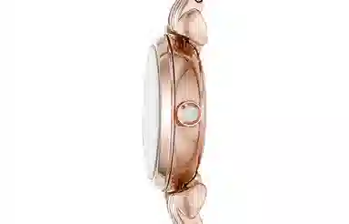 EMPORIO ARMANI GIANNI T-B 22mm AR11203