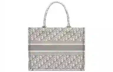 Dior Book Tote Grey