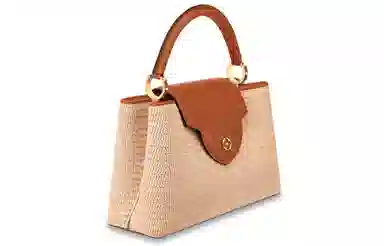 LOUIS VUITTON Summer Capucines