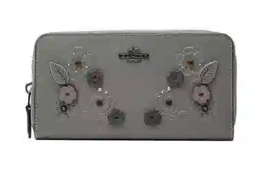 COACH Accordion 20