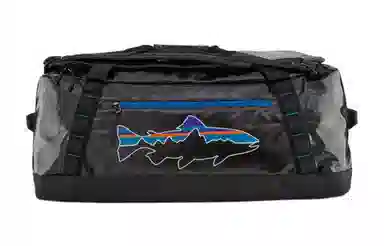 patagonia 55L Logo
