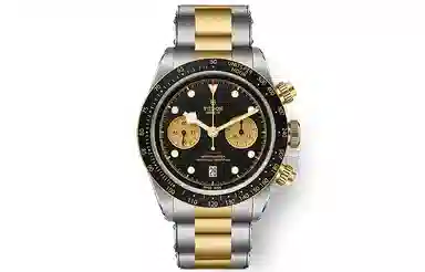 TUDOR 41mm M79363N-0001