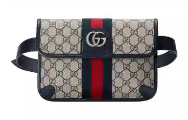 Gucci Ophidia Bag