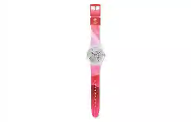 SWATCH 41mm SO29Z105