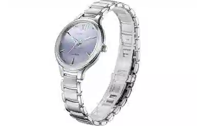 CITIZEN EM0550-83N