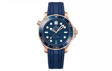 Omega Seamaster 210.62.42.20.03.001