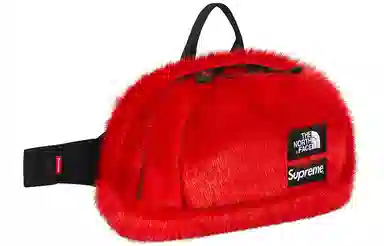 Supreme x The North Face FW20 Sling Bag