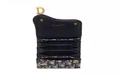 DIOR Saddle Oblique