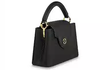 LOUIS VUITTON Capucines