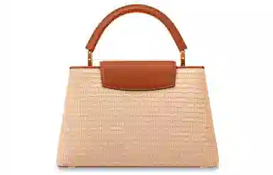 LOUIS VUITTON Summer Capucines