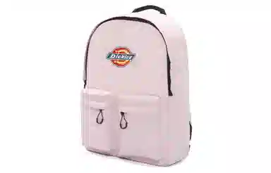 Dickies 100