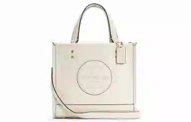 COACH Dempsey 22 Tote