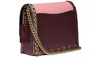 COACH x Jennifer Lopez Hutton 22