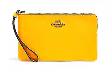 COACH Corner Zip 20