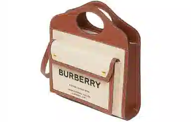 Burberry Vintage Pocket Bag Beige