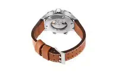 HAMILTON 100 45 H77765541