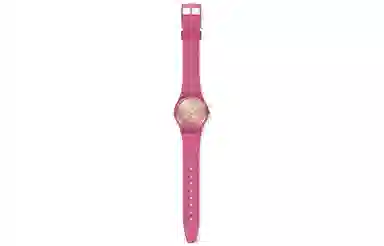 SWATCH Gent 30 34*39.2mm GP169