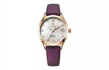 CODEX X 50 34mm 1202.03.1304.S23