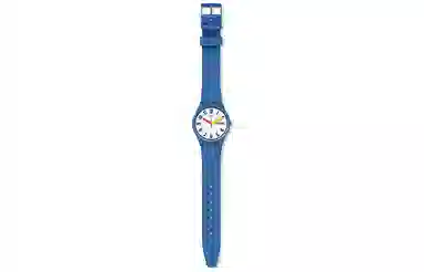 SWATCH originals 39.2mm GS703