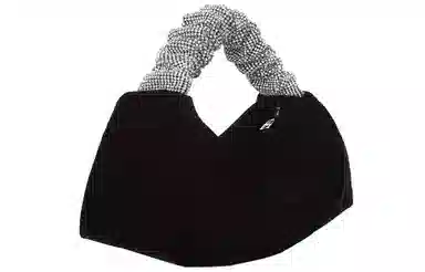 alexander wang scrunchiee