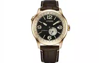 CITIZEN FF 100 NJ0143-19E
