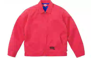 Supreme x JUNYA WATANABE COMME des GARÇONS MAN Printed Work Jacket