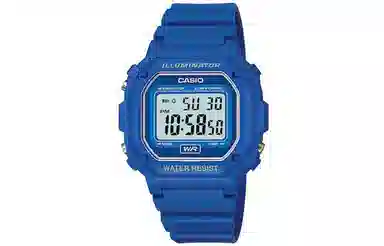 Casio Vintage F108WH-2A