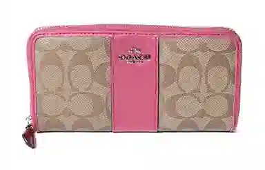 COACH Accordion 20