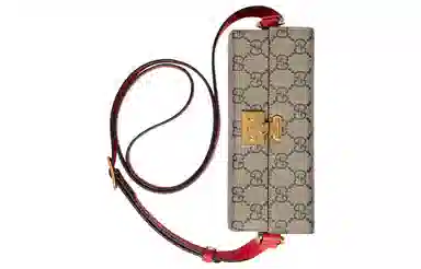 Gucci Love Canvas Box Bag