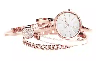 ANNE KLEIN AK-1470RGST