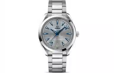 Omega Aqua Terra 220.10.41.21.06.001