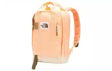 THE NORTH FACE TOTE BACKPACK