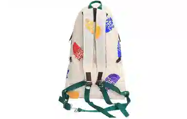 The North Face 17L Backpack