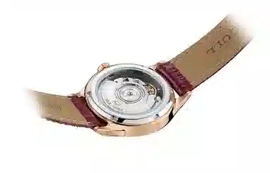 Sea-Gull 319.17.1103L